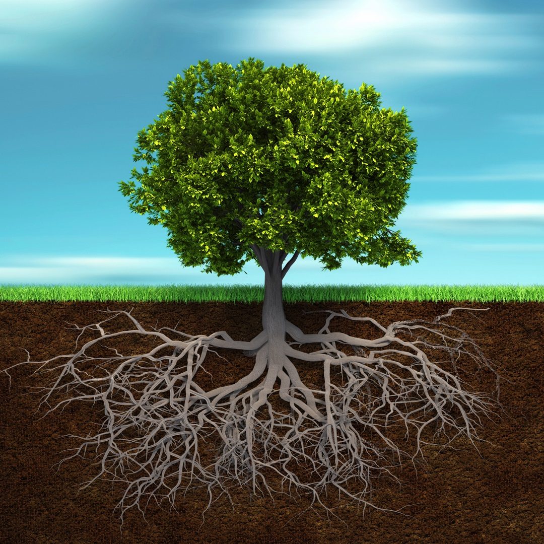 Embracing Functional Medicine for Optimal Health