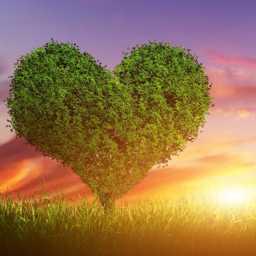 Sexual wellness and pelvic health