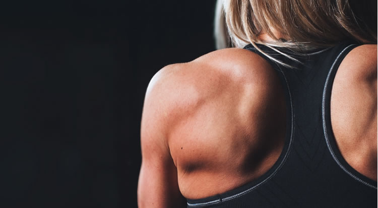 Women's Wellness & Strength