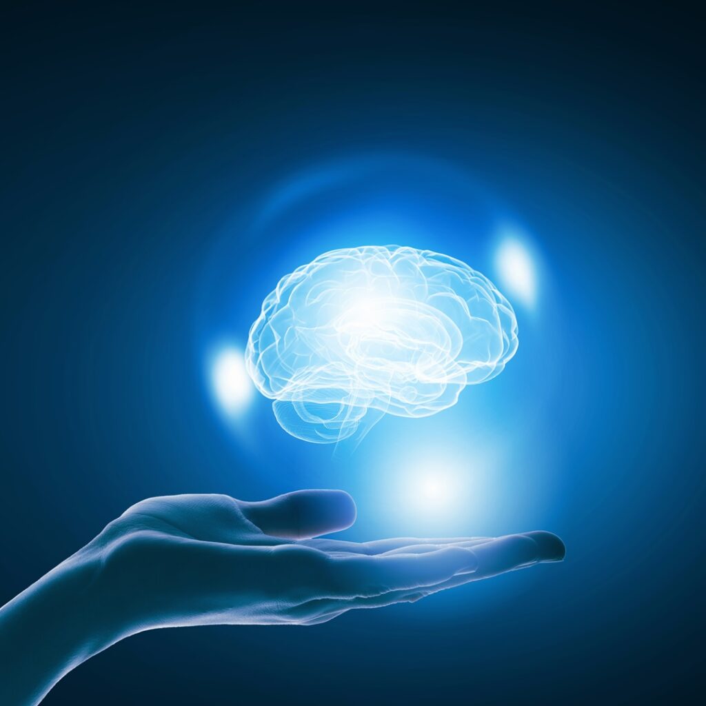 Slow and Steady Brain Health Essentials