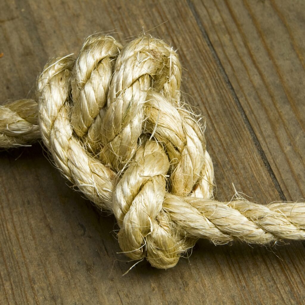 Maintain, Revitalize, and Empower Peak Performance