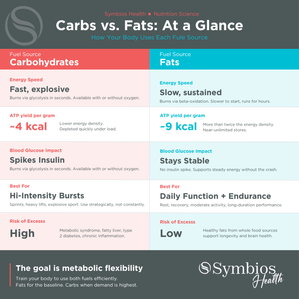 Carbs vs Fats: At a Glance. Symbios Health Hilton Head Island, SC
